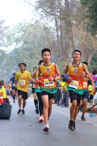 BIB: 1733, 17340
                            <button type="button" onclick="openModal(10410492)" class="btn btn-primary btn-sm float-right btn-popup" data-toggle="modal" data-target=".modal-high-quality">
                        <i class="fas fa-shopping-cart"></i> Add to Cart
                    </button>
                                            <button type="button" onclick="isThisMe(10410492, true)" class="btn btn-success btn-sm float-right btn-popup btn-isme hidden" data-toggle="tooltip" data-placement="bottom" title="นี่คือรูปของคุณใช่ไหม คลิกที่นี่เพื่อเอาเข้าอัลบั้ม">
                        <i class="fas fa-plus"></i> Add to album
                    </button>
                    <button type="button" onclick="isThisMe(10410492, false)" class="btn btn-warning btn-sm float-right btn-popup btn-isnotme hidden">
                        <i class="fas fa-ban"></i> Remove from album
                    </button>